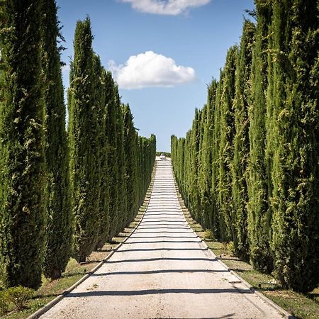 Вілла Fattoria Colsanto Torre del Colle Екстер'єр фото
