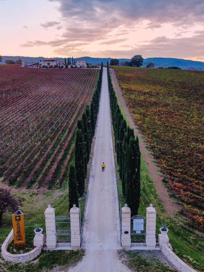 Вілла Fattoria Colsanto Torre del Colle Екстер'єр фото