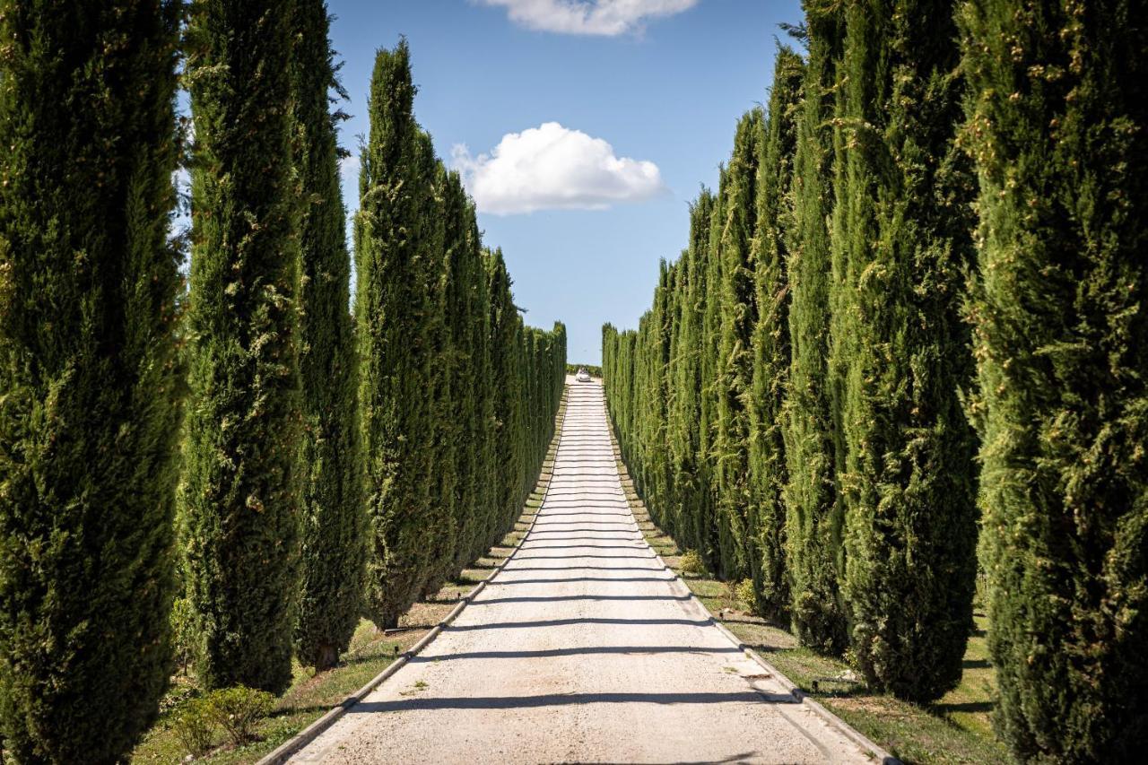 Вілла Fattoria Colsanto Torre del Colle Екстер'єр фото